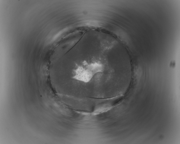 X0000113941110200910231938