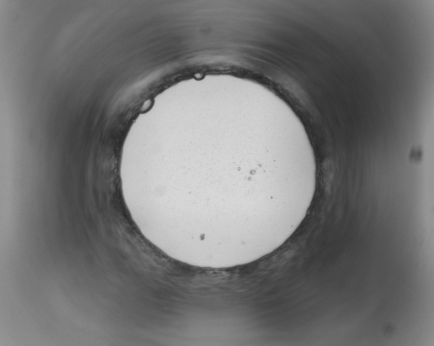 X0000113941111200910231938