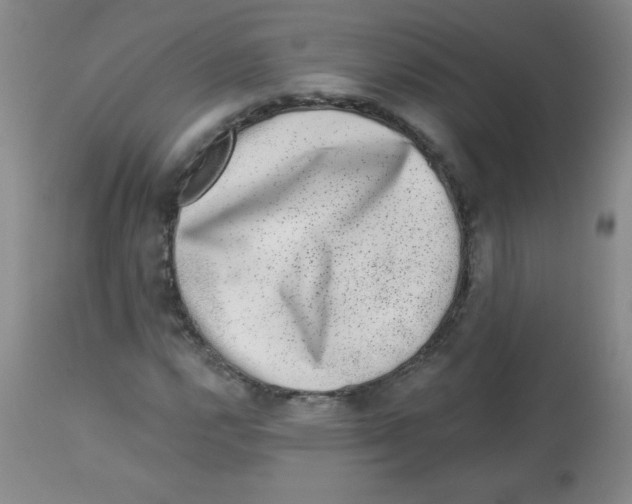 X0000113941112200910231938