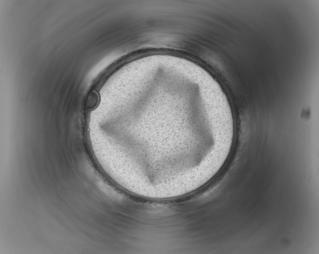 X0000113941114200910231938