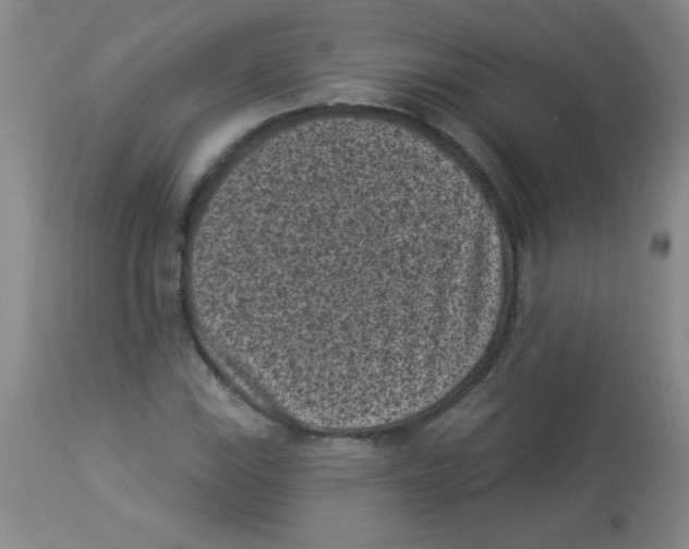 X0000113941115200910231938