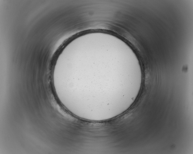 X0000113941116200910231938