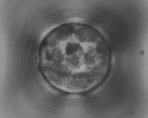 X0000113941117200910231938