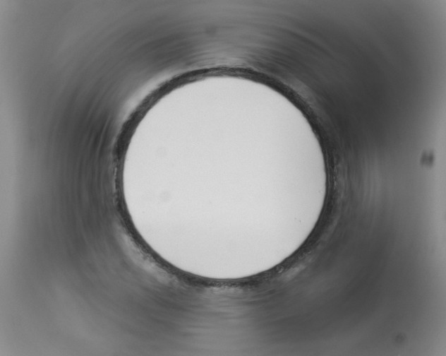 X0000113941118200910231938