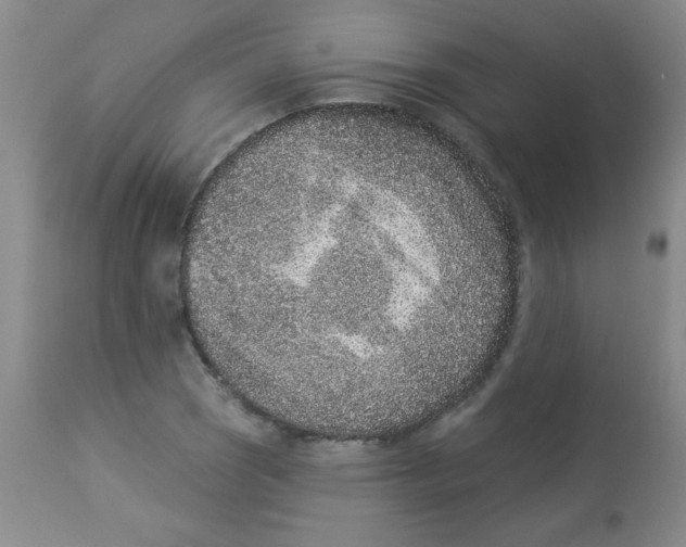 X0000113941121200910231938