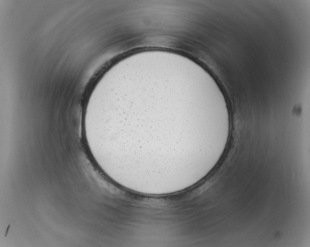 X0000113941123200910231938