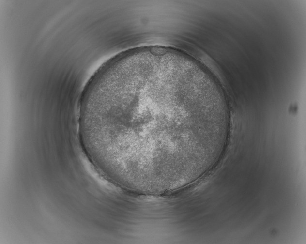 X0000113941124200910231938