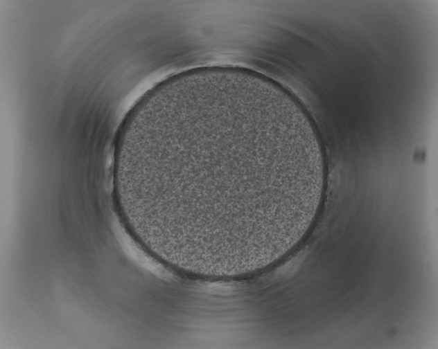 X0000113941126200910231938