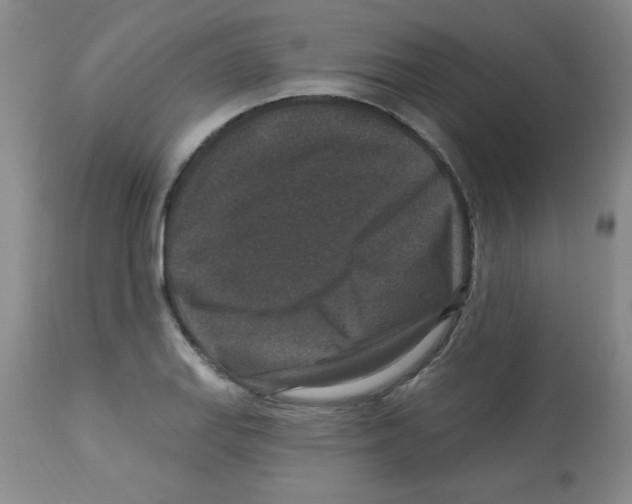 X0000113941127200910231938