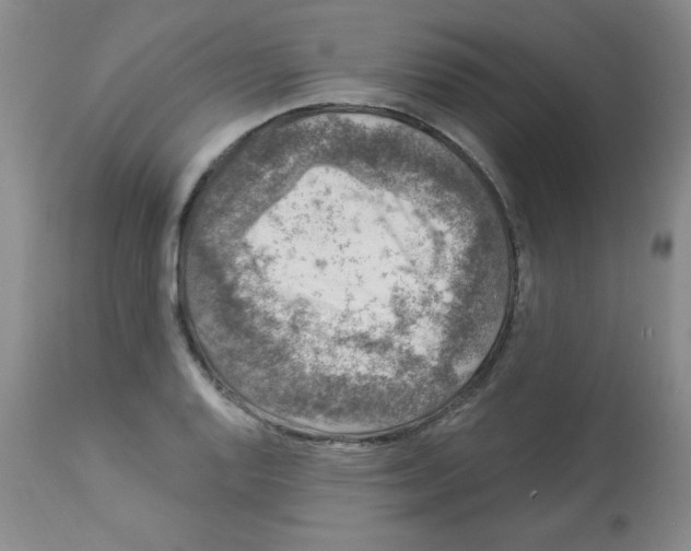 X0000113941128200910231938