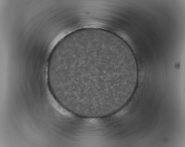 X0000113941130200910231938