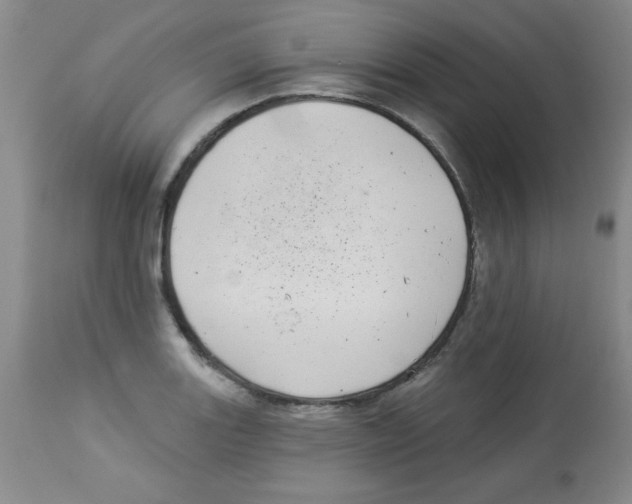 X0000113941131200910231938
