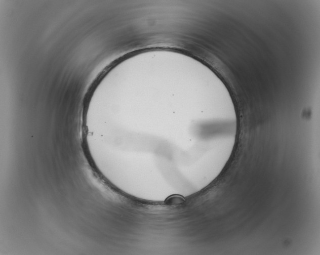 X0000113941132200910231938