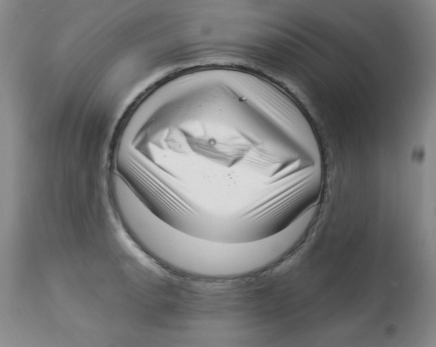 X0000113941134200910231938
