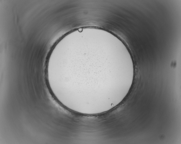 X0000113941135200910231938