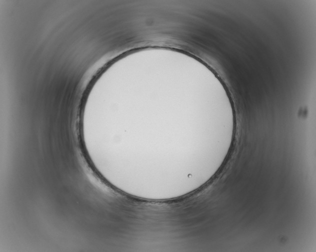 X0000113941136200910231938