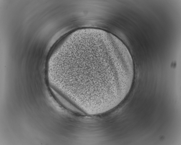 X0000113941138200910231938