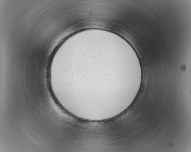 X0000113941139200910231938