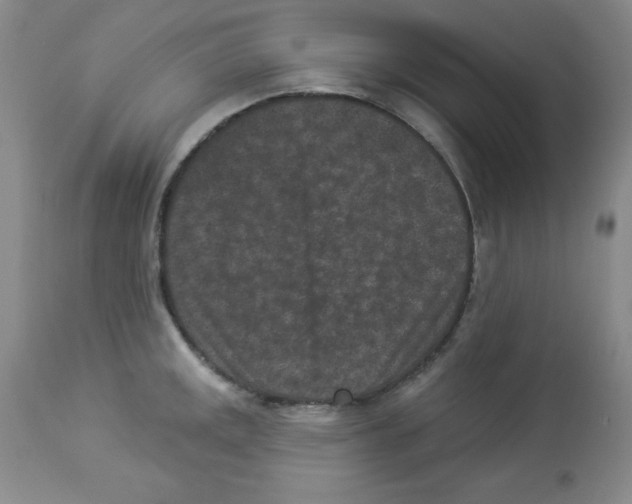 X0000113941141200910231938