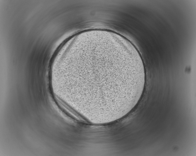 X0000113941142200910231938
