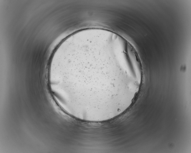 X0000113941144200910231938