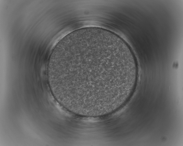 X0000113941145200910231938