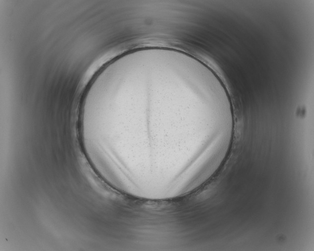X0000113941146200910231938