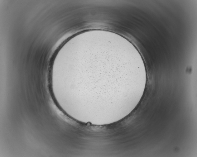 X0000113941147200910231938