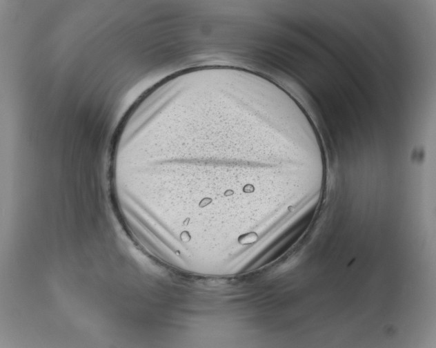 X0000113941149200910231938
