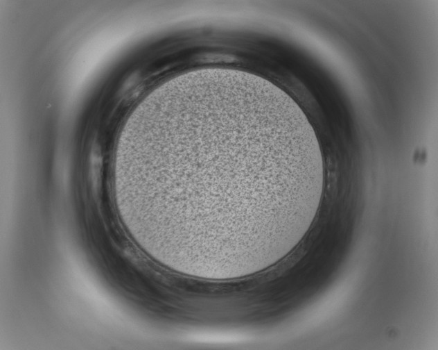 X0000113941151200910231938
