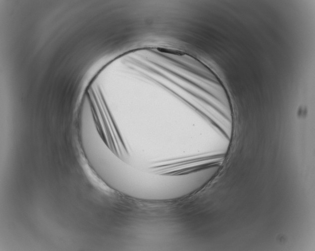 X0000113941152200910231938