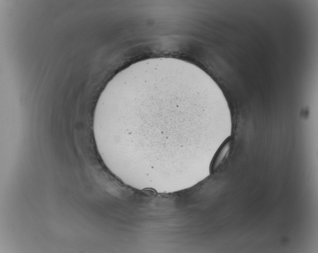 X0000113941153200910231938