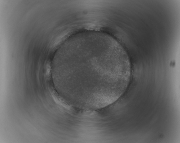X0000113941154200910231938