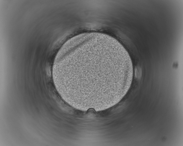 X0000113941155200910231938