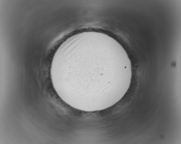 X0000113941159200910231938