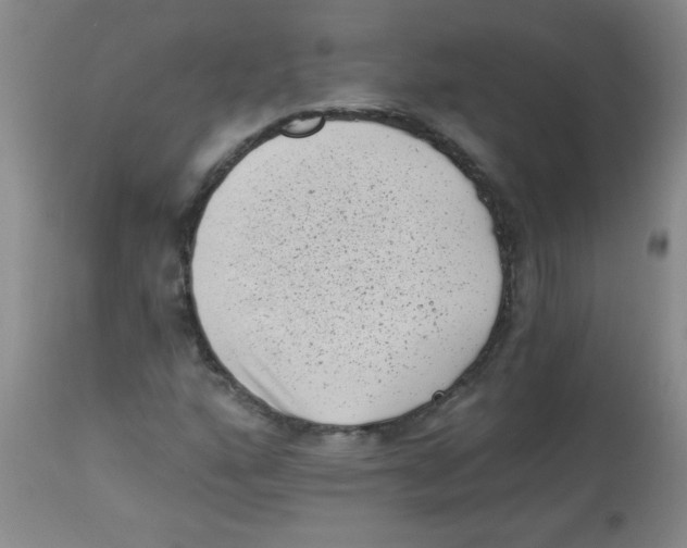 X0000113941160200910231938