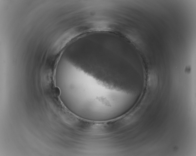 X0000113941161200910231938