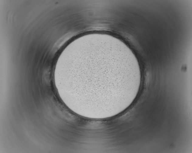 X0000113941162200910231938