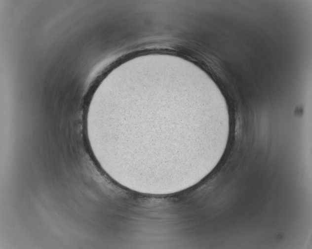 X0000113941164200910231937