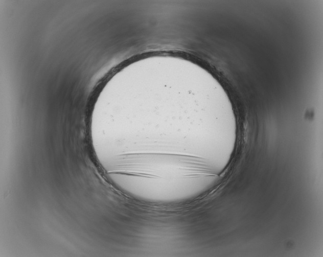 X0000113941165200910231937