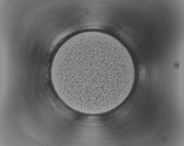 X0000113941166200910231937