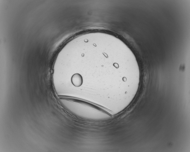 X0000113941167200910231937
