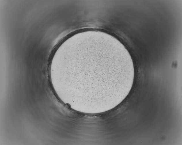 X0000113941168200910231937