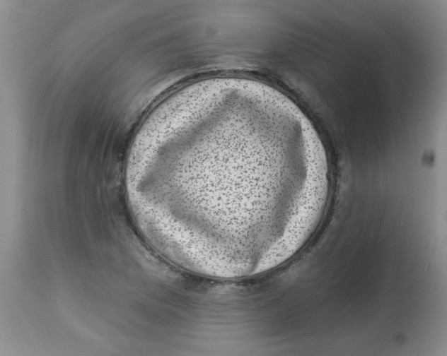 X0000113941169200910231937