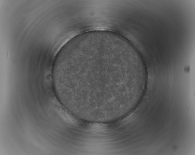 X0000113941170200910231937