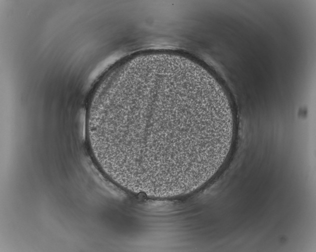 X0000113941171200910231937