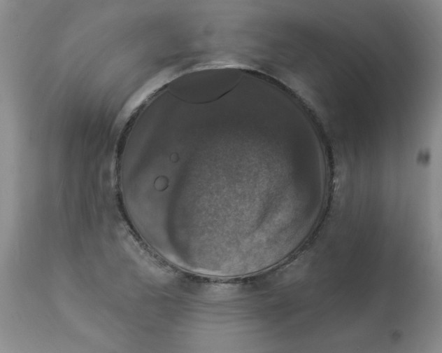 X0000113941173200910231937
