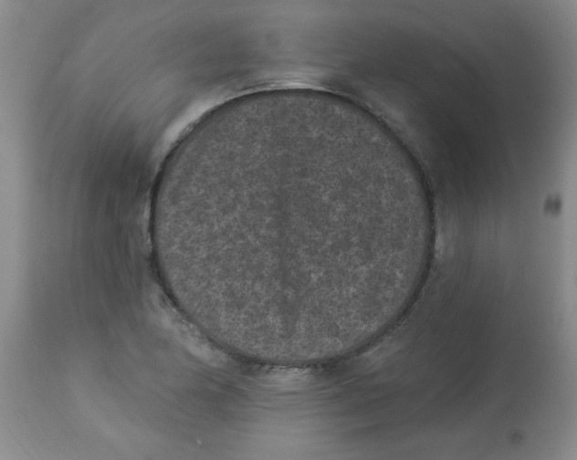 X0000113941174200910231937