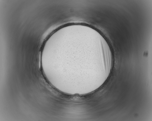 X0000113941175200910231937