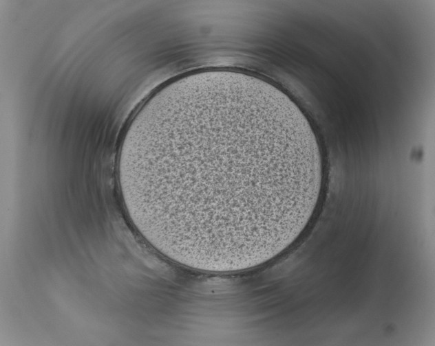X0000113941178200910231937